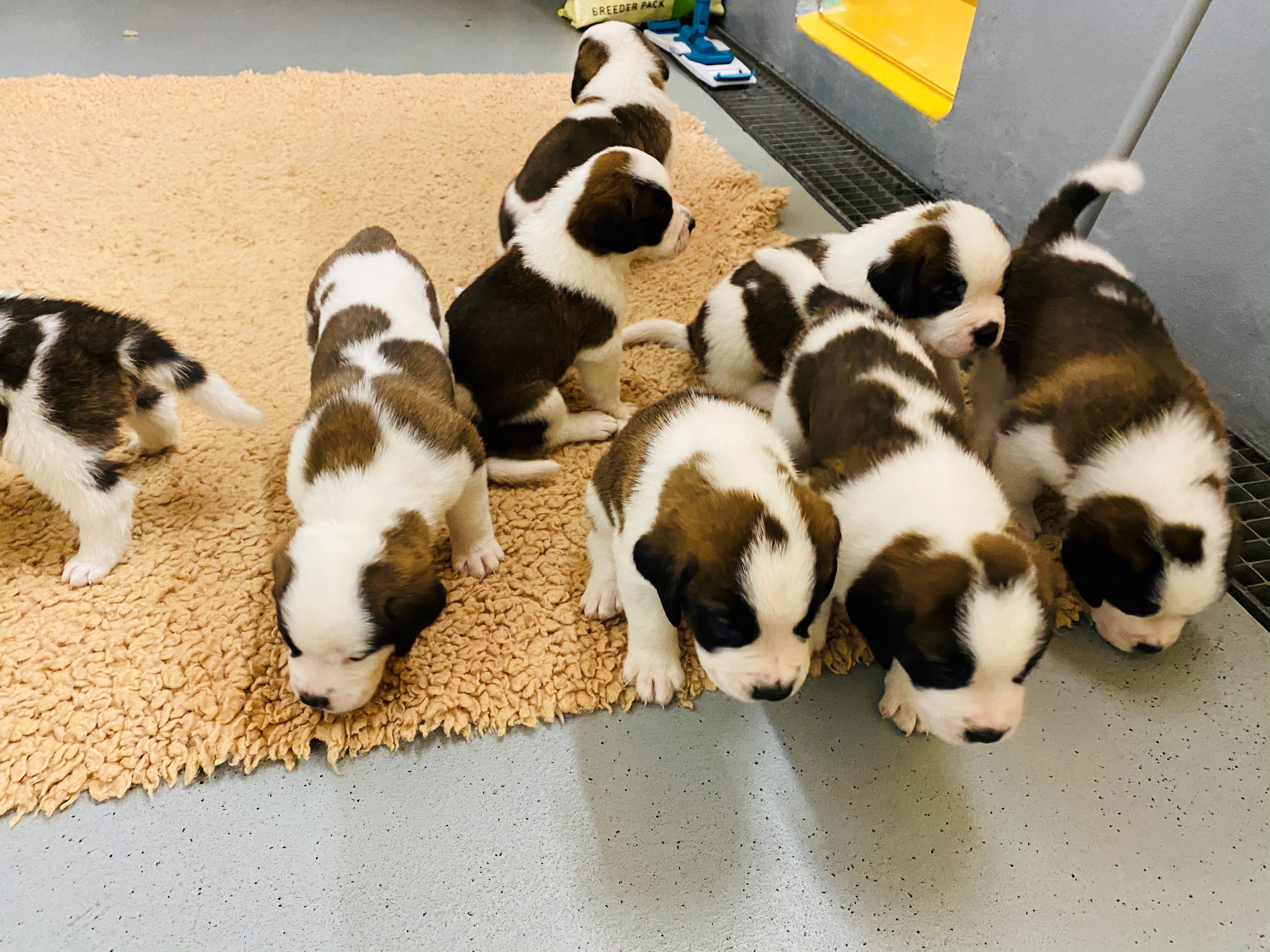 Barryland va s'agrandir